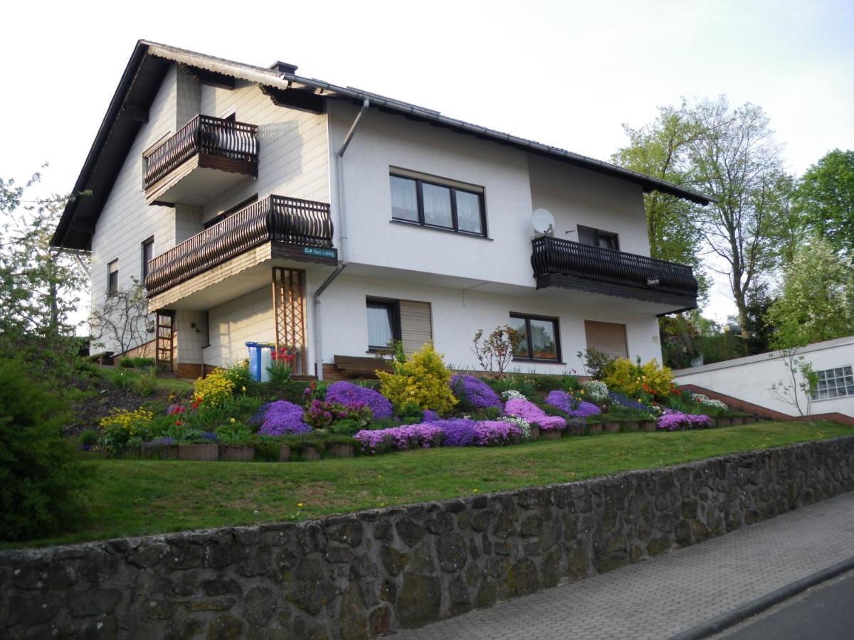 Pension Haus Ludwig Schotten Dış mekan fotoğraf