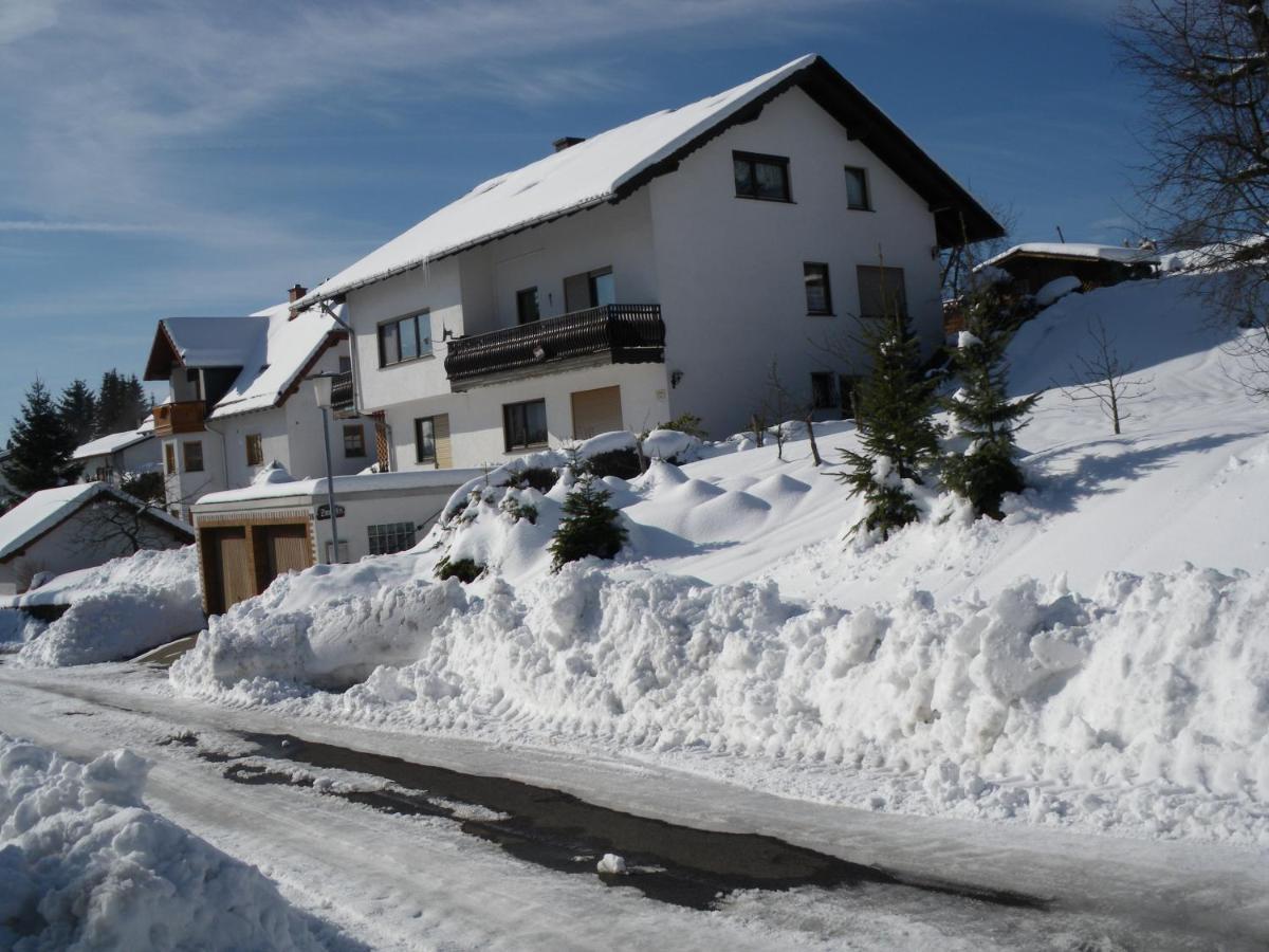 Pension Haus Ludwig Schotten Dış mekan fotoğraf