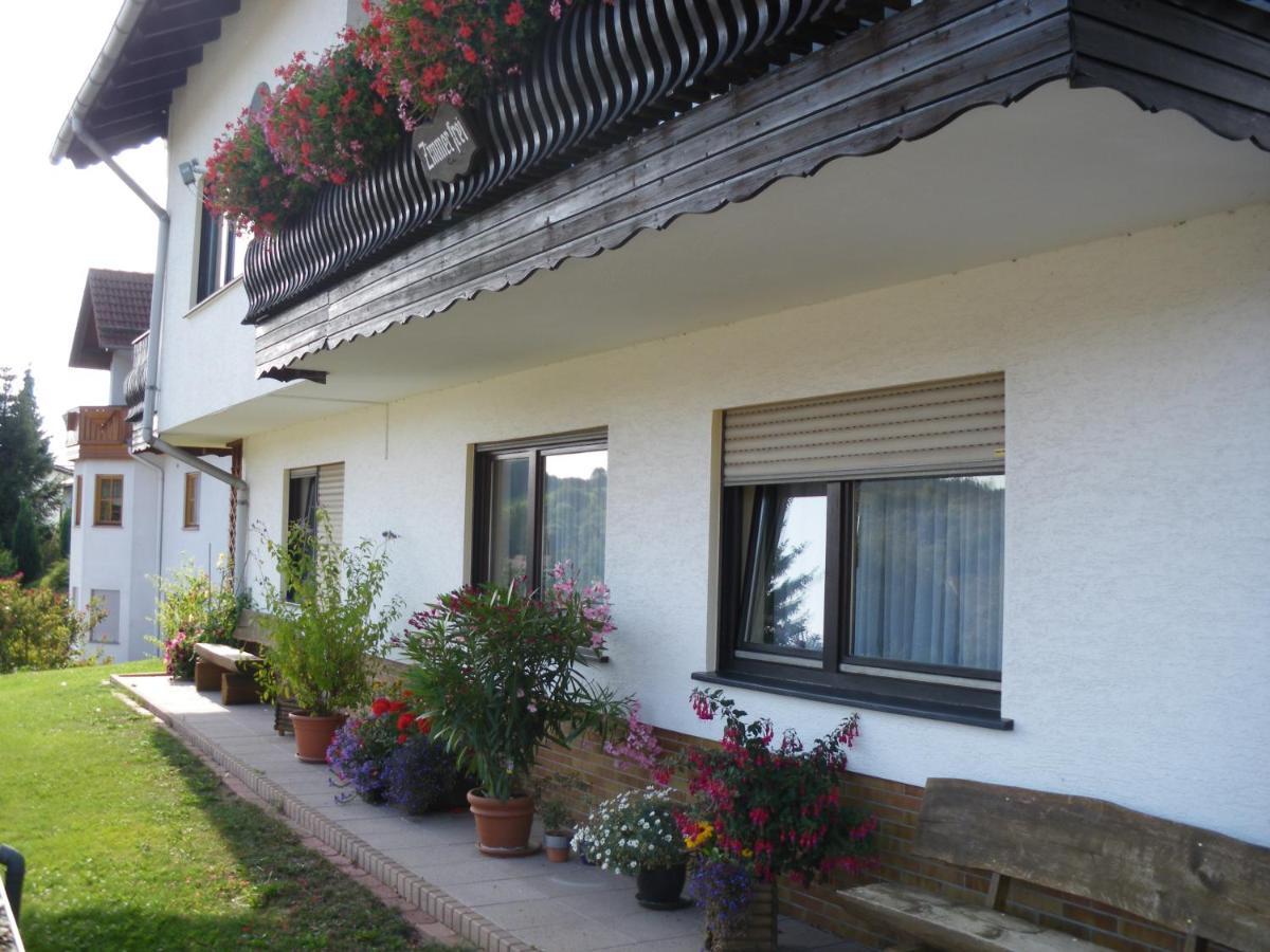 Pension Haus Ludwig Schotten Dış mekan fotoğraf