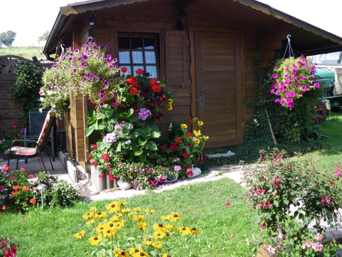Pension Haus Ludwig Schotten Dış mekan fotoğraf